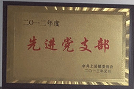 尔友针织-2012先进党支部