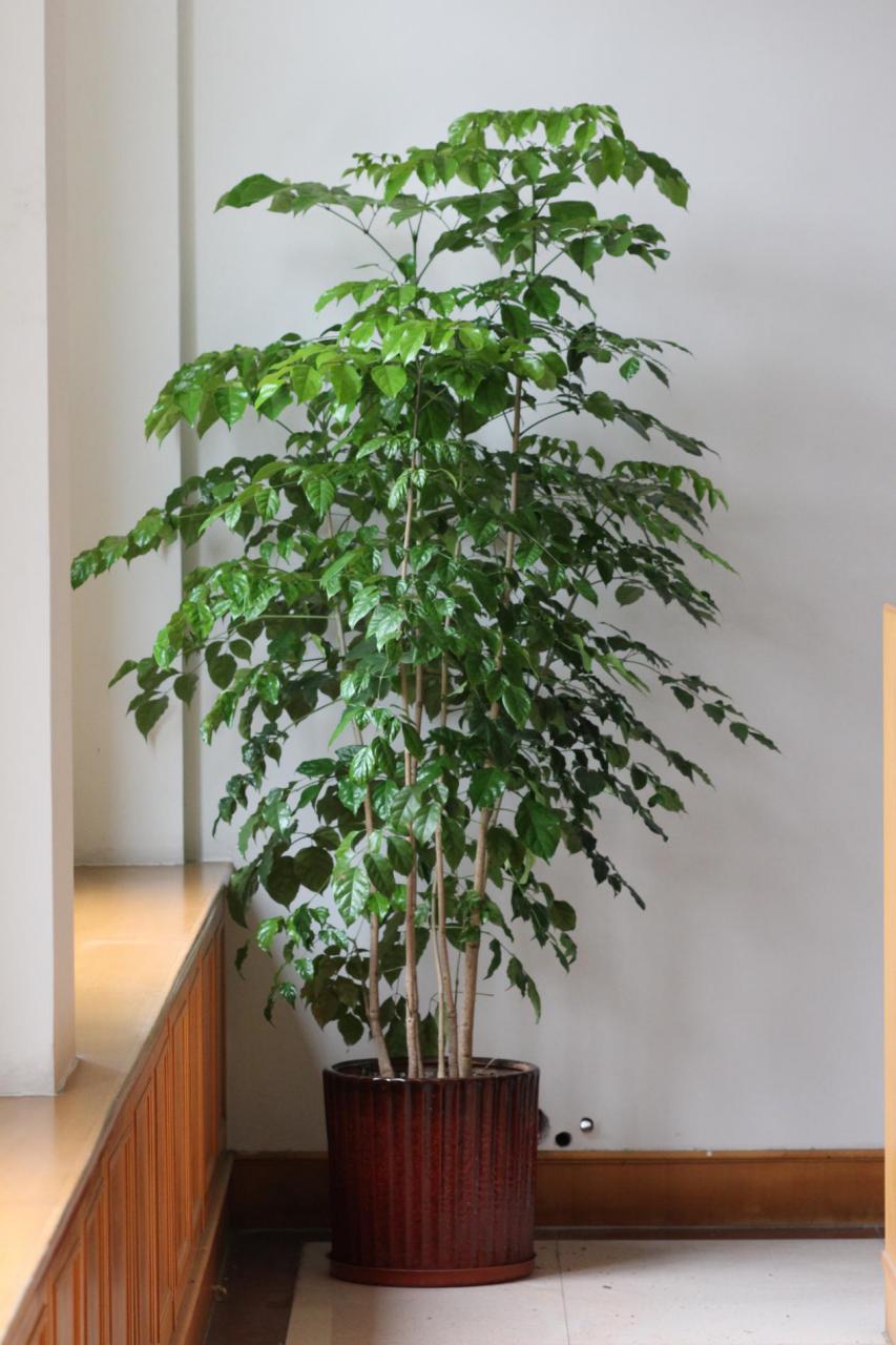 义乌内衣厂尔友针织在“森林”中办公