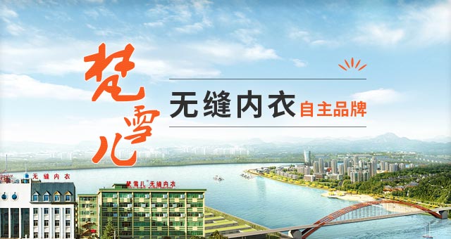 梵雪儿无缝内衣自主品牌