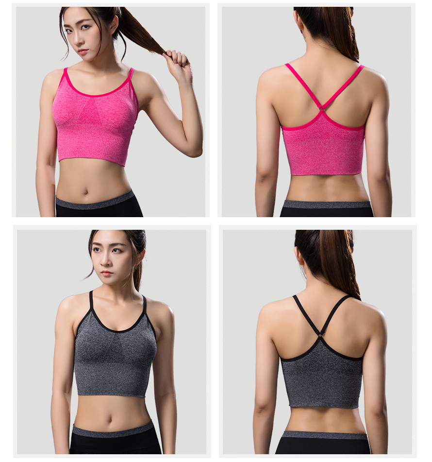 梵雪儿系列AW15-1运动文胸让你穿出迷人身材！