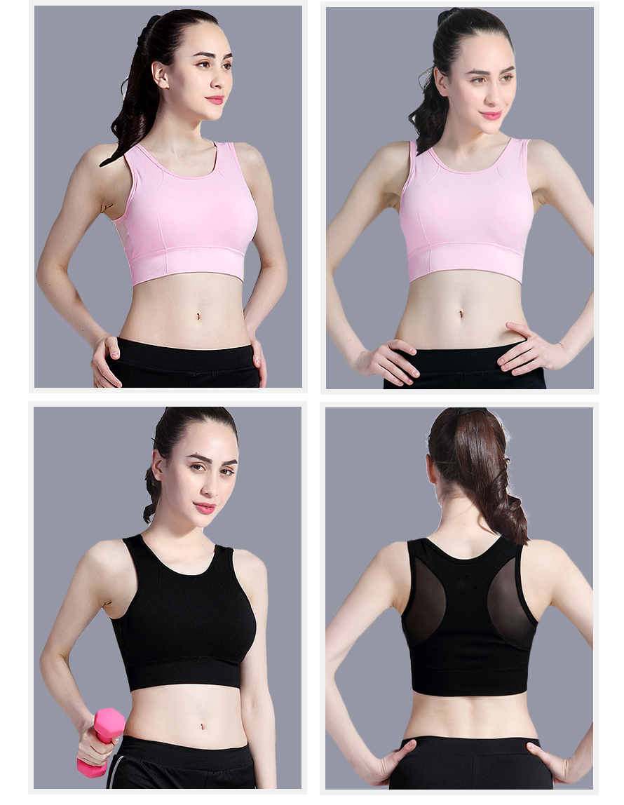 无缝针织文胸Z1219模特展示：完美身体展示，让你生活更有信心！